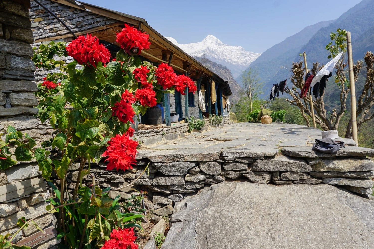 Annapurna Base Camp Trekking - Day 10