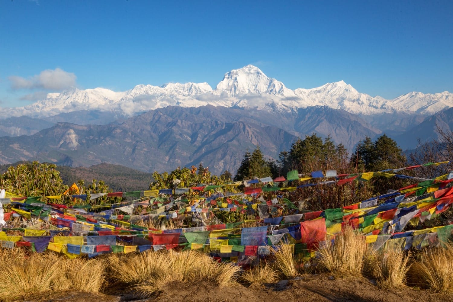Annapurna Base Camp Trekking - Day 07