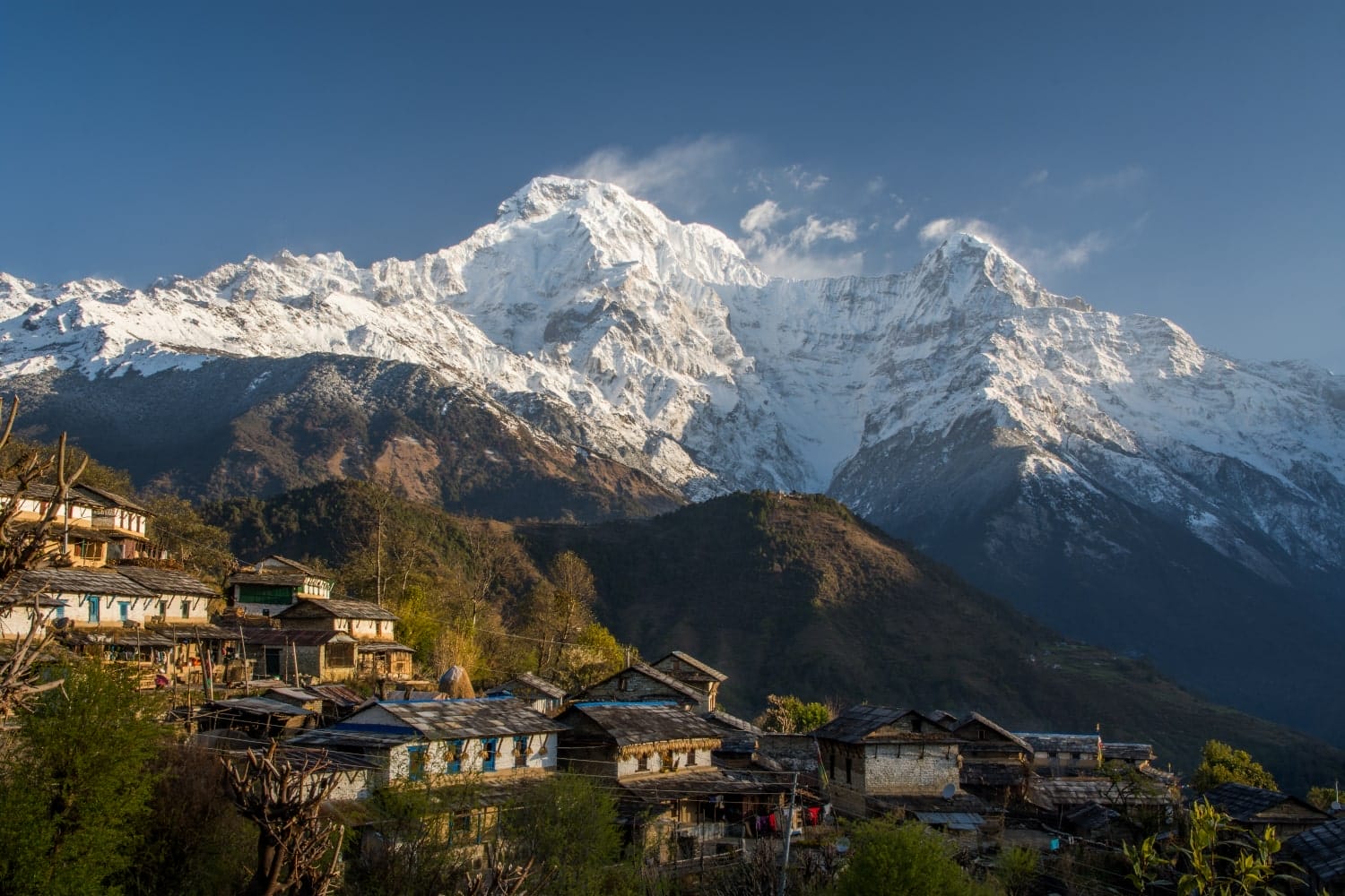 Poon Hill Trekking - Day 06