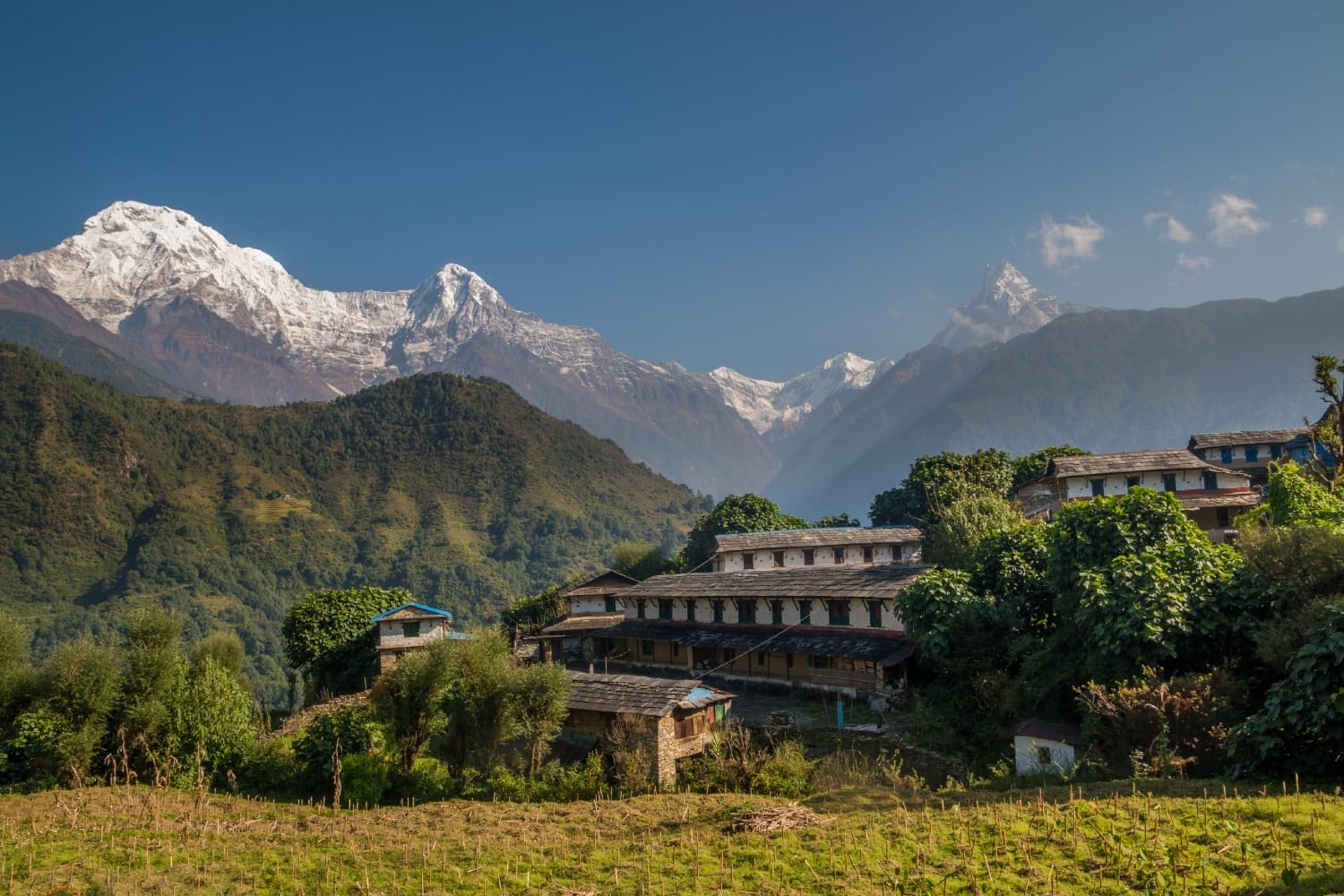 Short Annapurna Base Camp Trek - Day 04