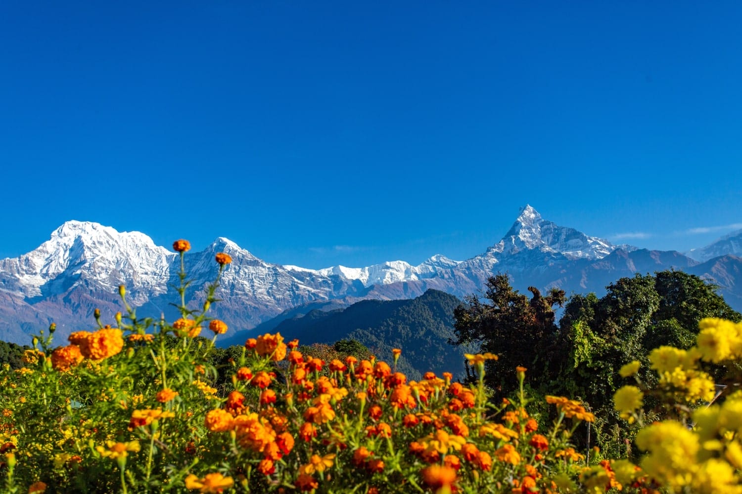 Annapurna Base Camp Trekking - Day 09