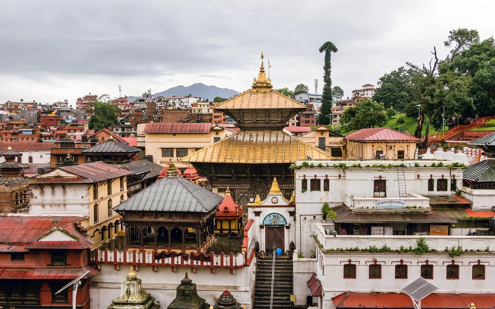 Pashupatinath Temple, Kathmandu: History, Rituals, Festivals & Visitor Guide