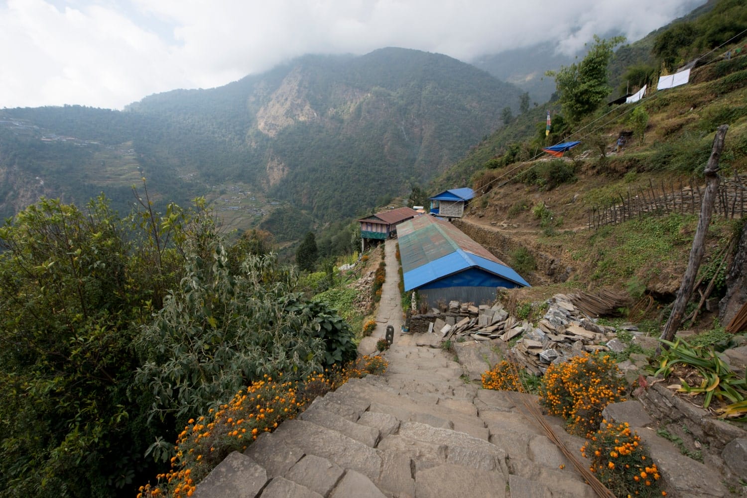Annapurna Base Camp Trekking - Day 08