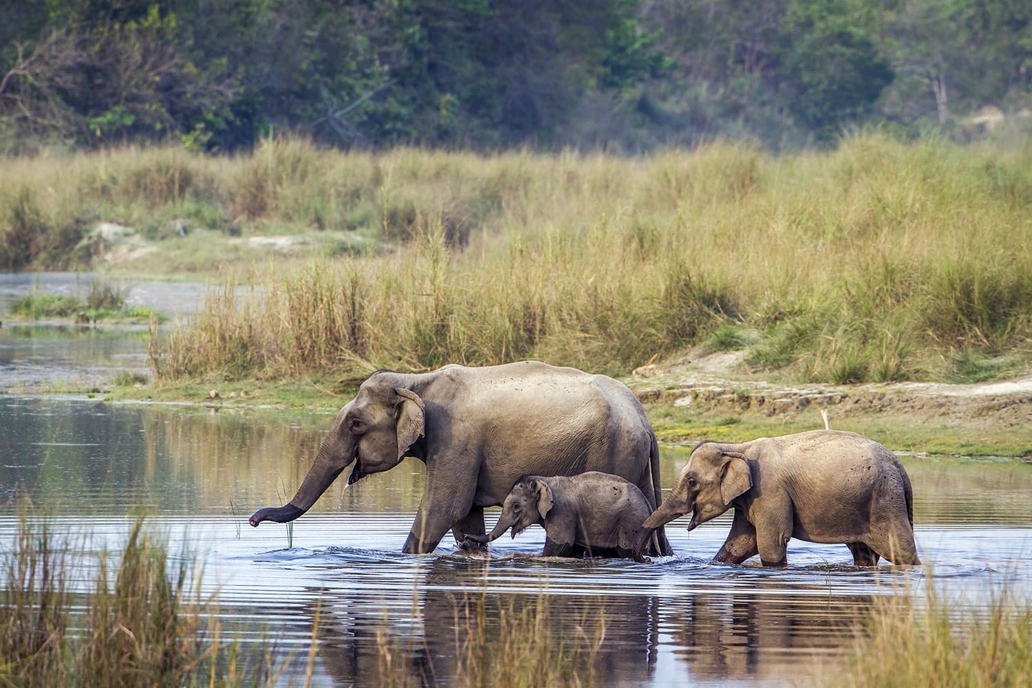 Bardiya Luxury Tour Package - Day 06