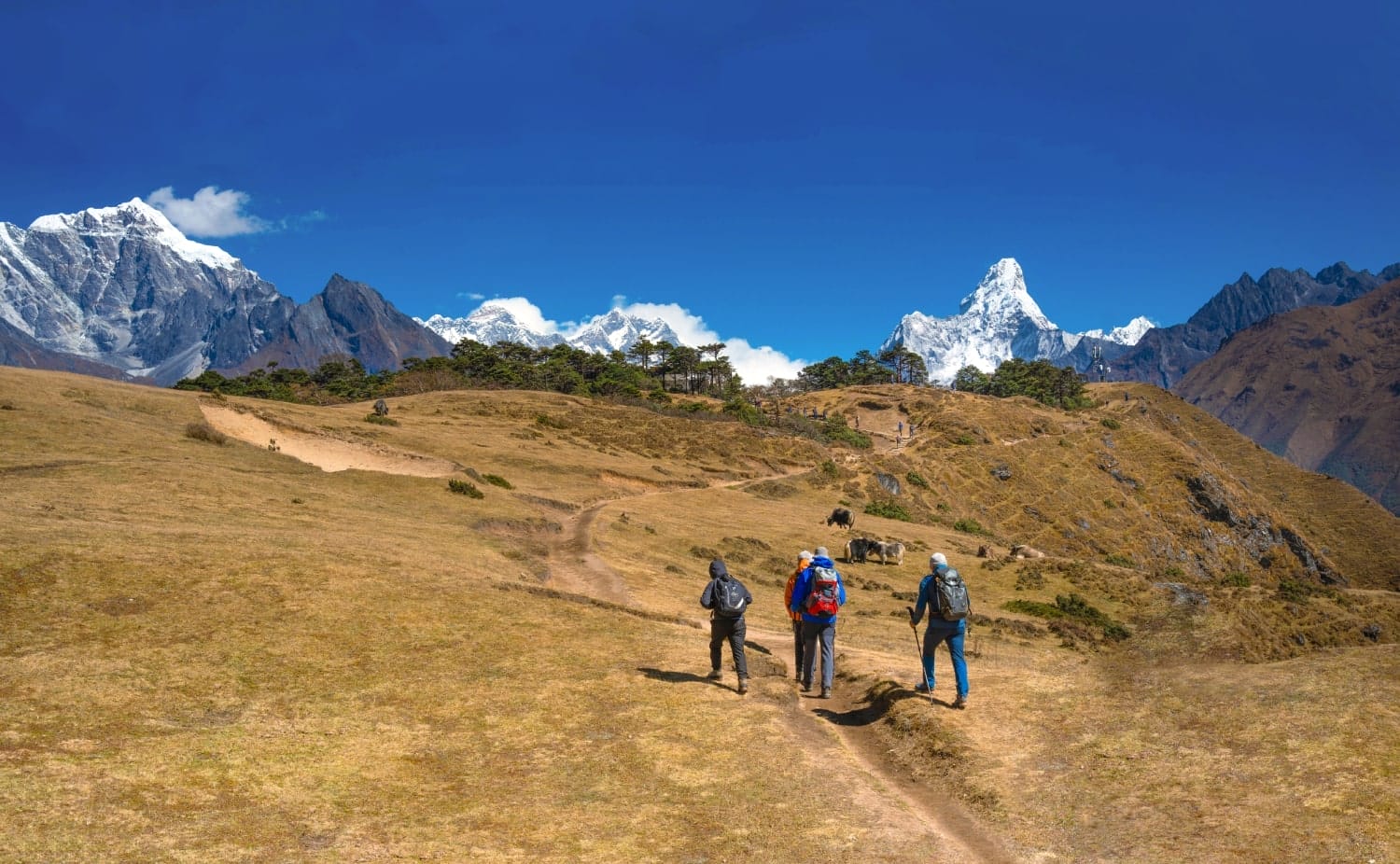 Everest Base Camp Trek - Day 09