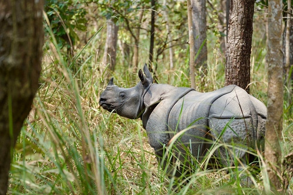 Classic Tour Nepal Package - Day 05